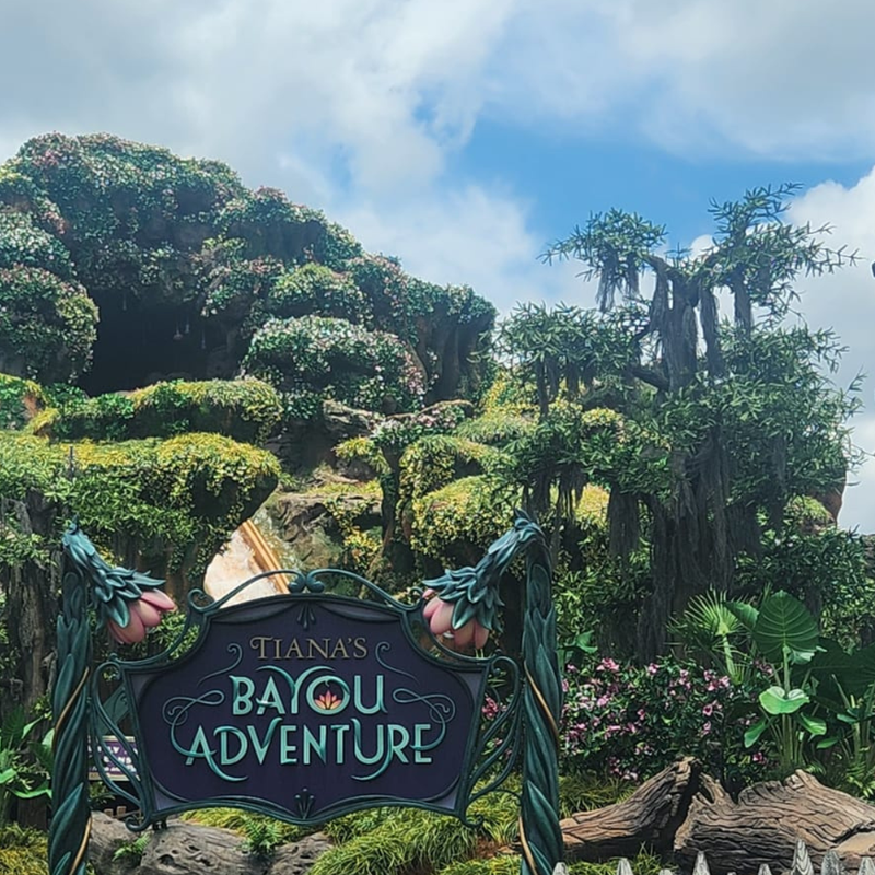 Trey Morgan's Adventures at Walt Disney World Resort