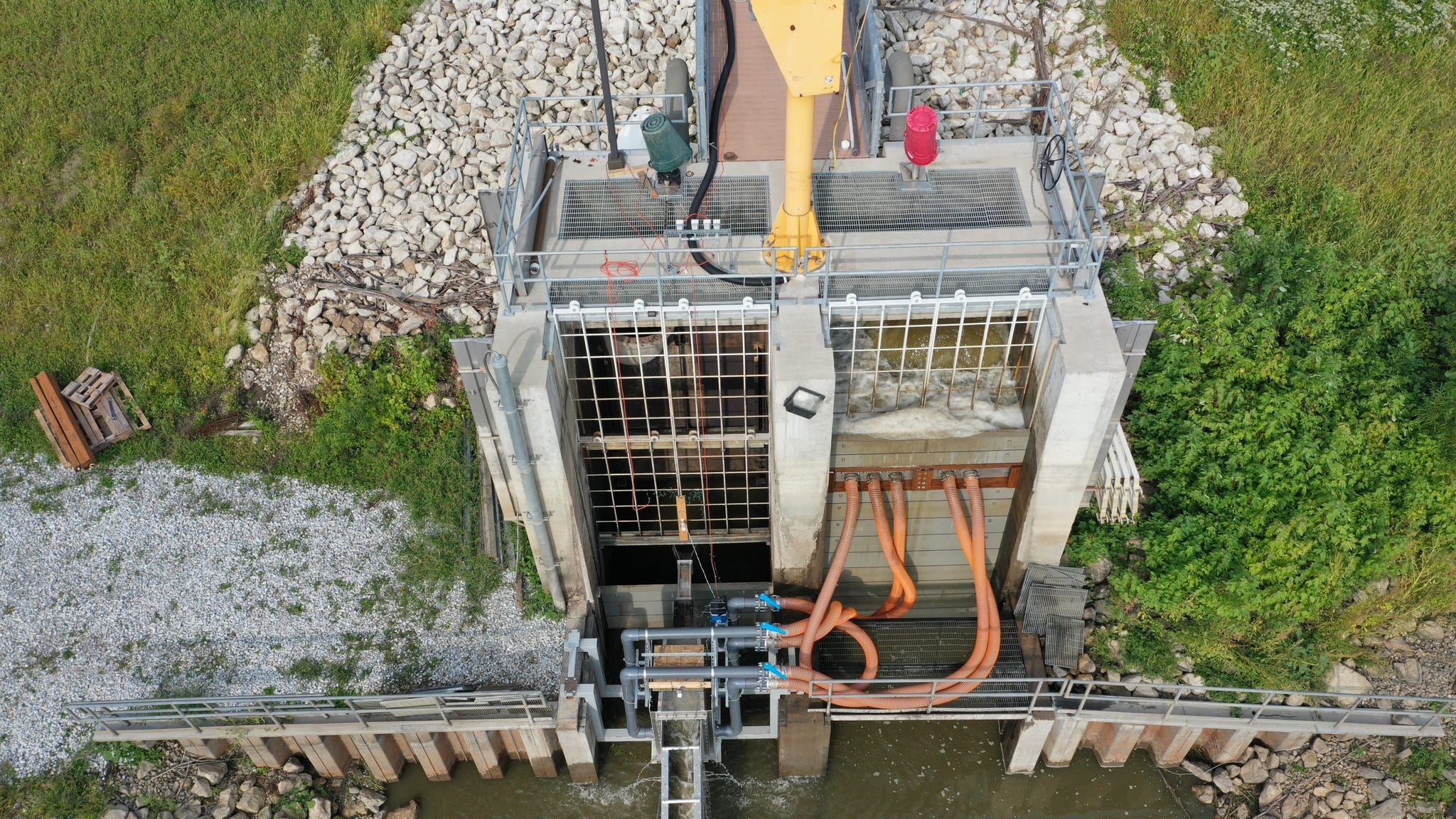 'Smart chute' diversion system downstate could prevent Asian Carp from reaching Chicago