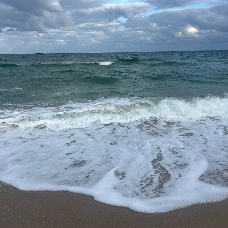 Bennett's Adventures Aboard Disney Dream