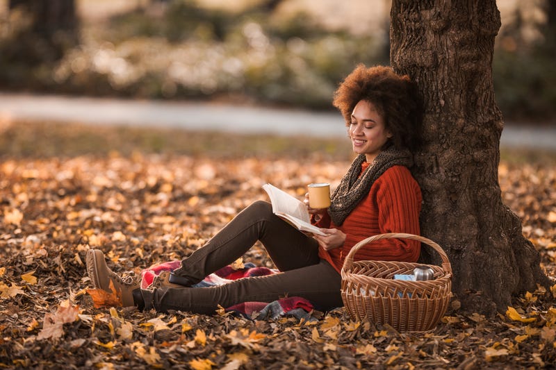 5 Books to Cozy up With This Fall | Bee Inspired
