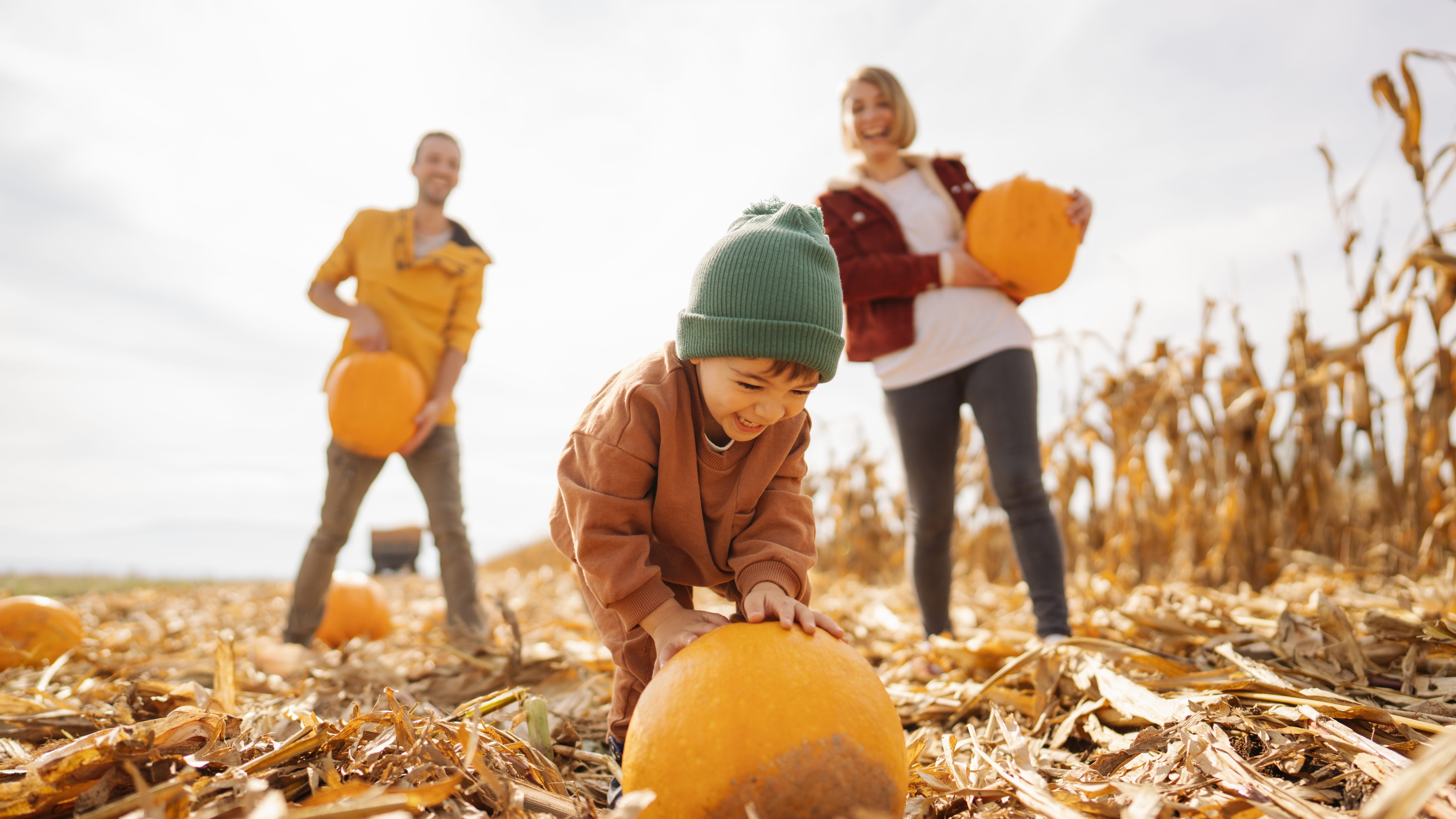5 Fall Activities in South Jersey You Don’t Want to Miss | Bee Inspired