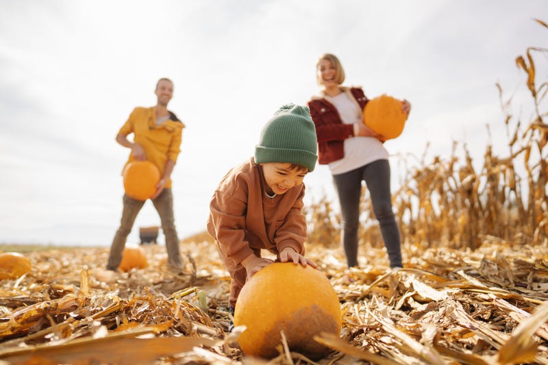 5 Fall Activities in South Jersey You Don’t Want to Miss | Bee Inspired