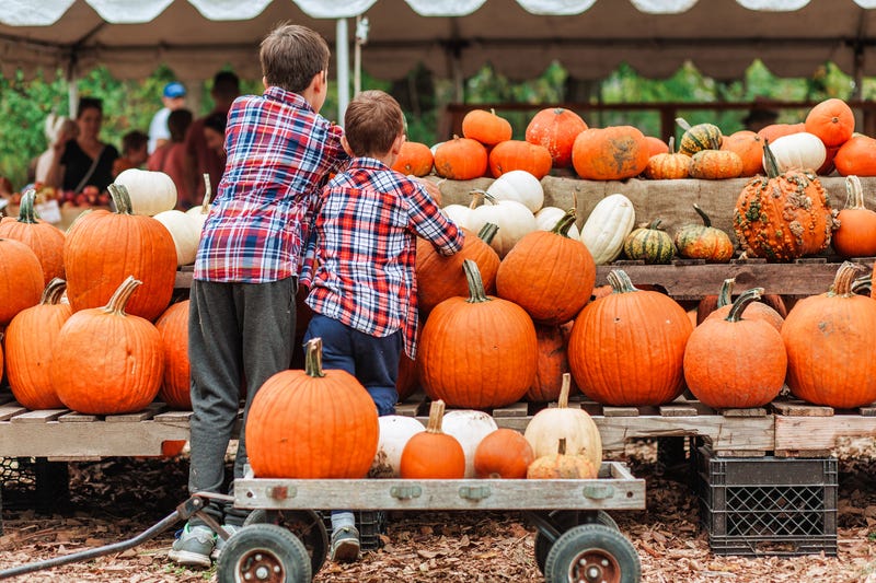 5 Must-Visit Pumpkin and Apple Picking Farms in South Jersey