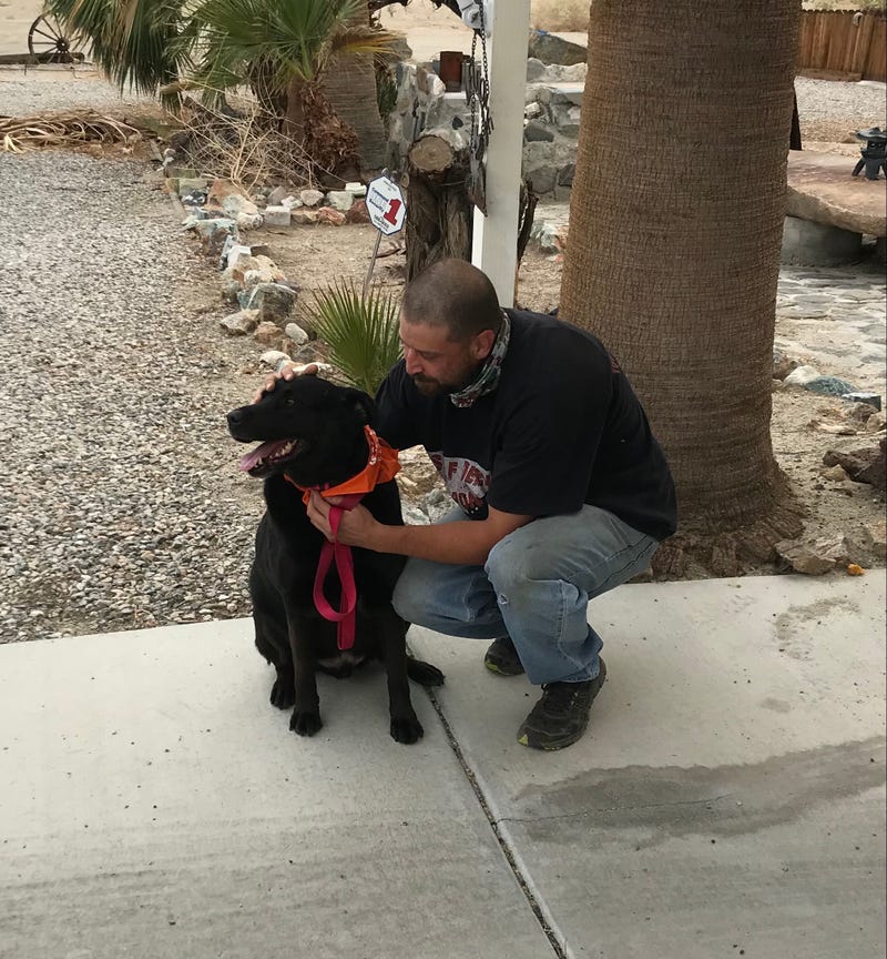 ASPCA