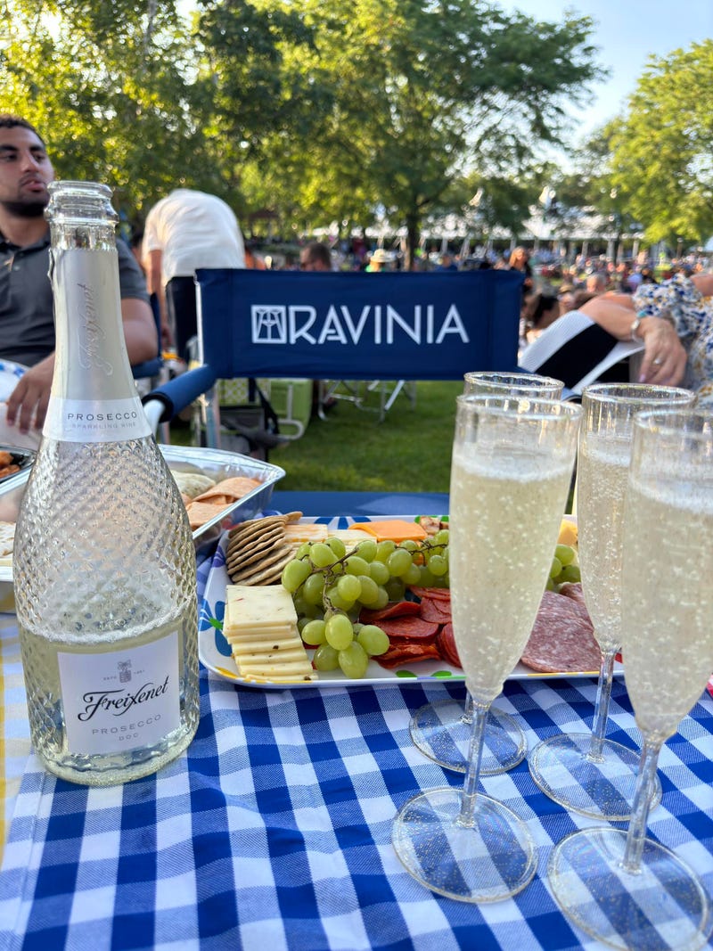 A typical Ravinia spread on the lawn of Ravinia Festival, Highland Park