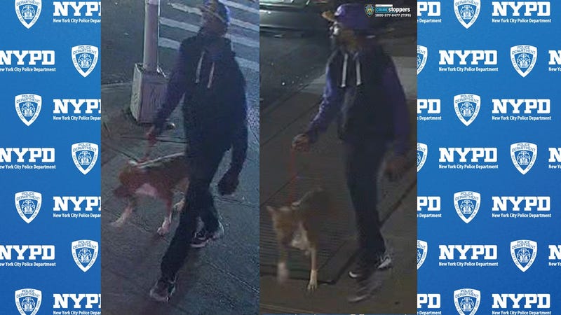 Police said the suspect sicced his dog on a man walking on the street in Bedford Park