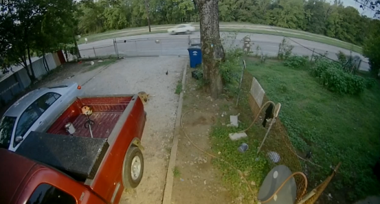 Police video of hit and run driver