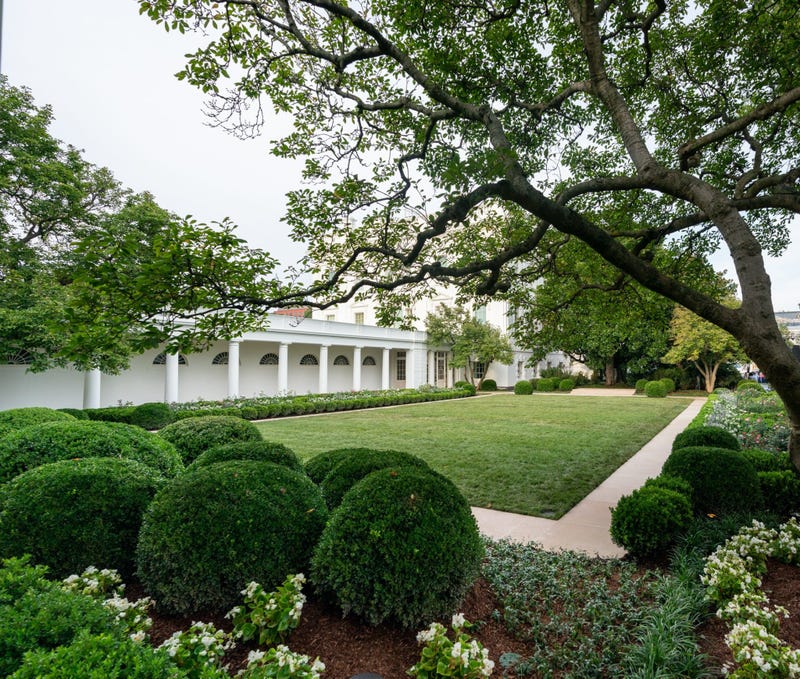 Rose Garden 
