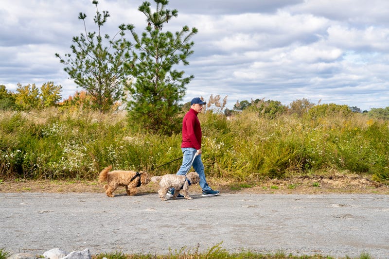 The first public space has opened at Freshkills Park