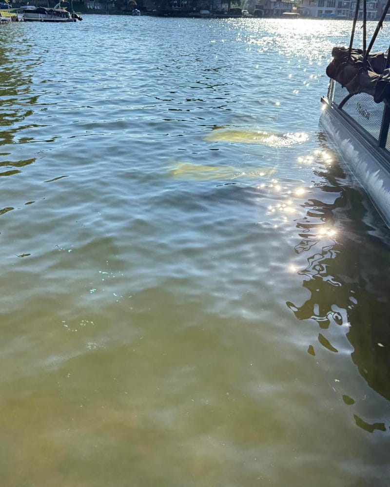 Car in lake