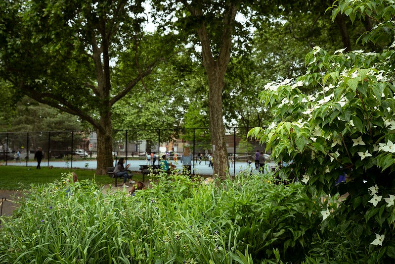 Wharton Square Park