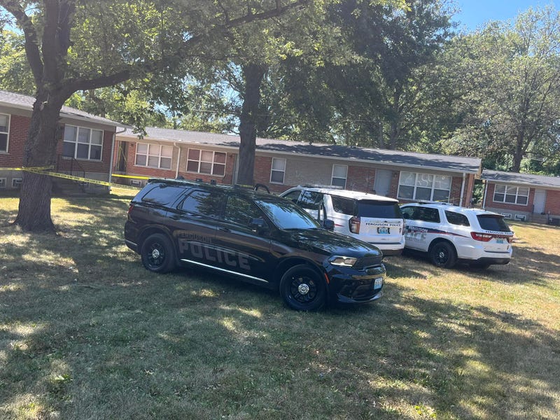 Ferguson Police