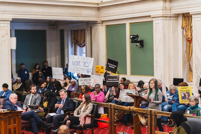 Supporters of the "backyard breeder" ban hold signs at Philadelphia City Council's meeting on Thursday, Feb. 19, 2026.
