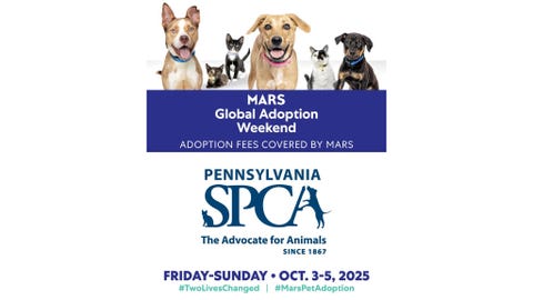 PSPCA Mars Global Adoption Weekend - Waived Adoption Fees