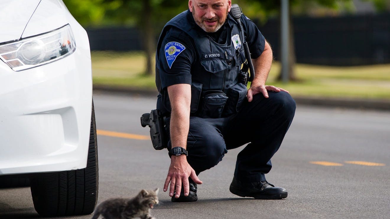 South Bend officer rescues kitten from rush-hour traffic