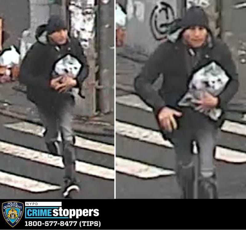 Brinks truck robbery suspect