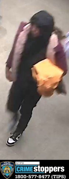 One of 11 suspects wanted in back-to-back robberies at the North Face store in SoHo last month.