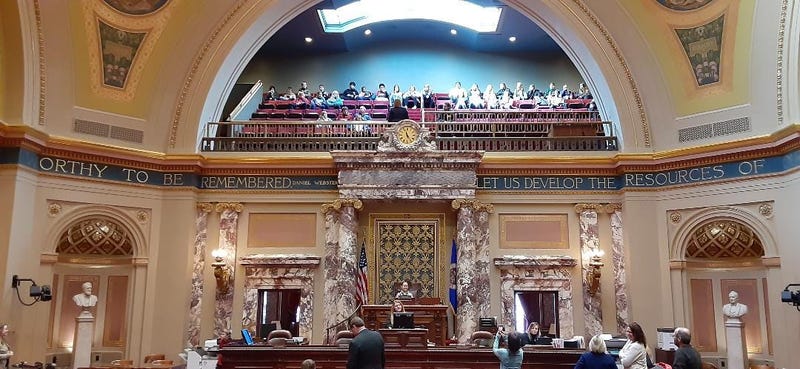 Minnesota senate chamber