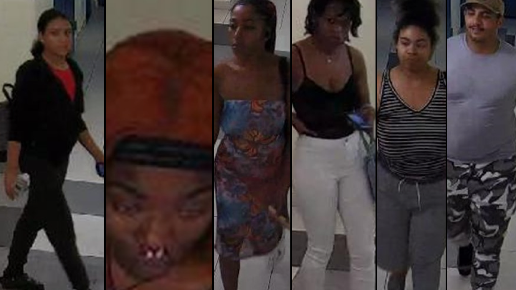 6 'witnesses' sought after woman's remains found in suitcases at Brooklyn apartment