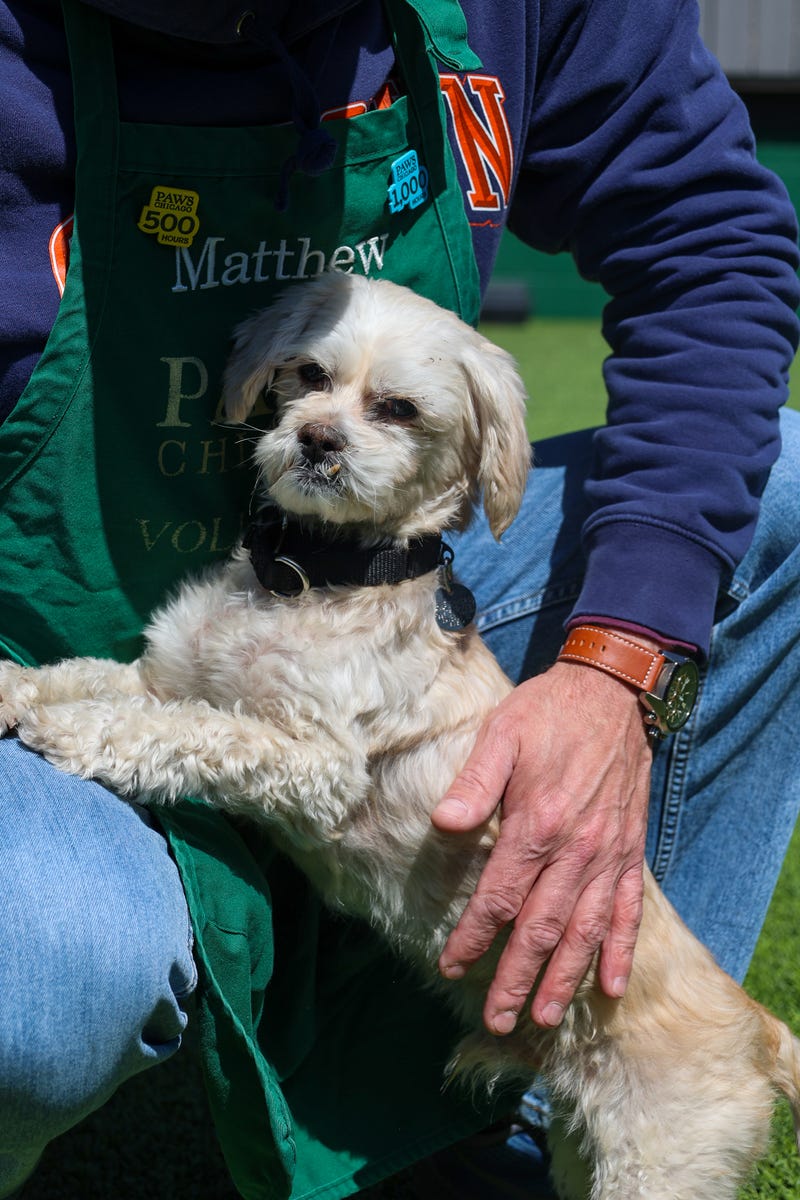 PAWS pet of the week