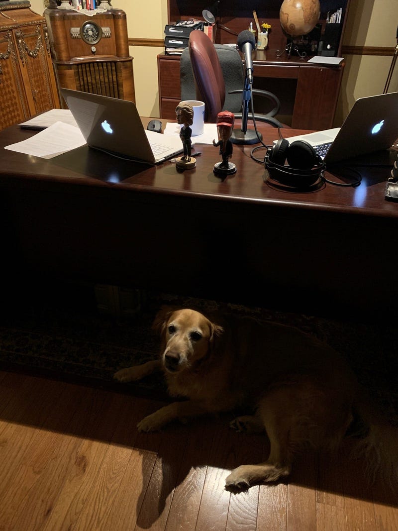 Ellie supervising