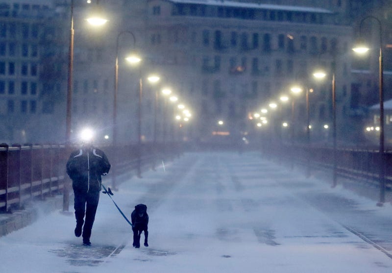 Dog walking in the cold on the Stone Arch Bridge