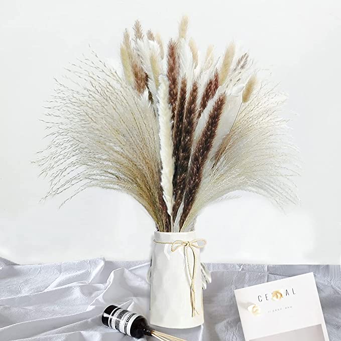 Pampas Grass
