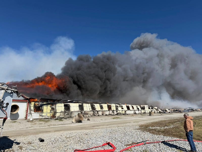 A massive fire tore through a commercial hog farm complex in Madison County, Ohio on Wednesday, killing more than 6,000 pigs, destroying four of five large agricultural buildings, and sending a towering plume of smoke visible across miles of rural landscape.