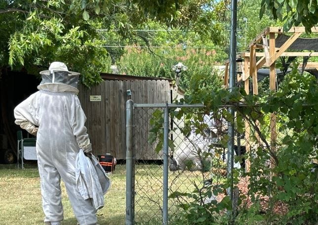 Beekeeper Dies