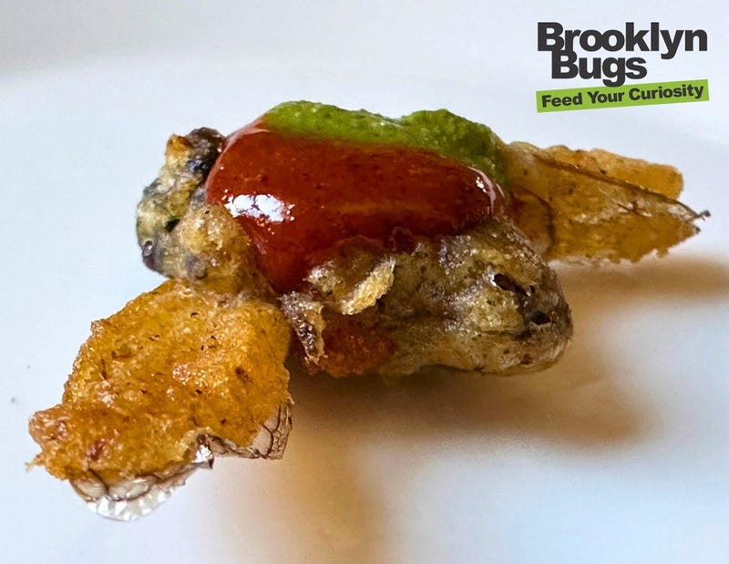 fried bugs