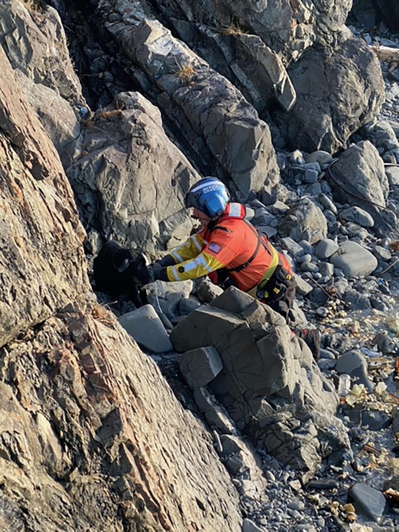 Coast Guard rescues lost puppy from Black Point in Alaska