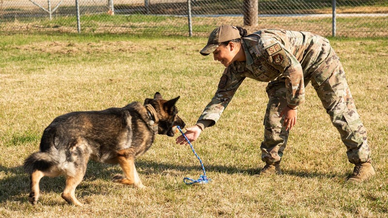 Behind the ‘Dream Team,’ Air Force handler and K9 share unbreakable bond