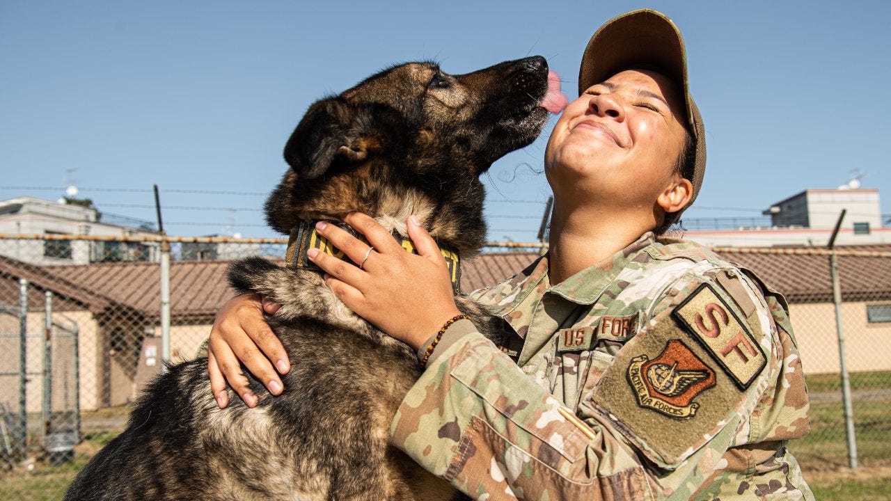 Behind the ‘Dream Team,’ Air Force handler and K9 share unbreakable bond