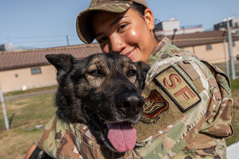 Behind the ‘Dream Team,’ Air Force handler and K9 share unbreakable bond