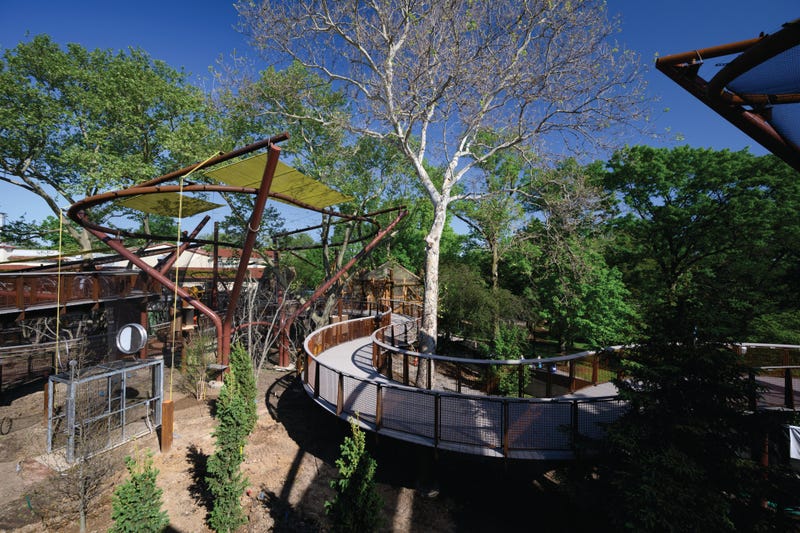 Primate Canopy Trails