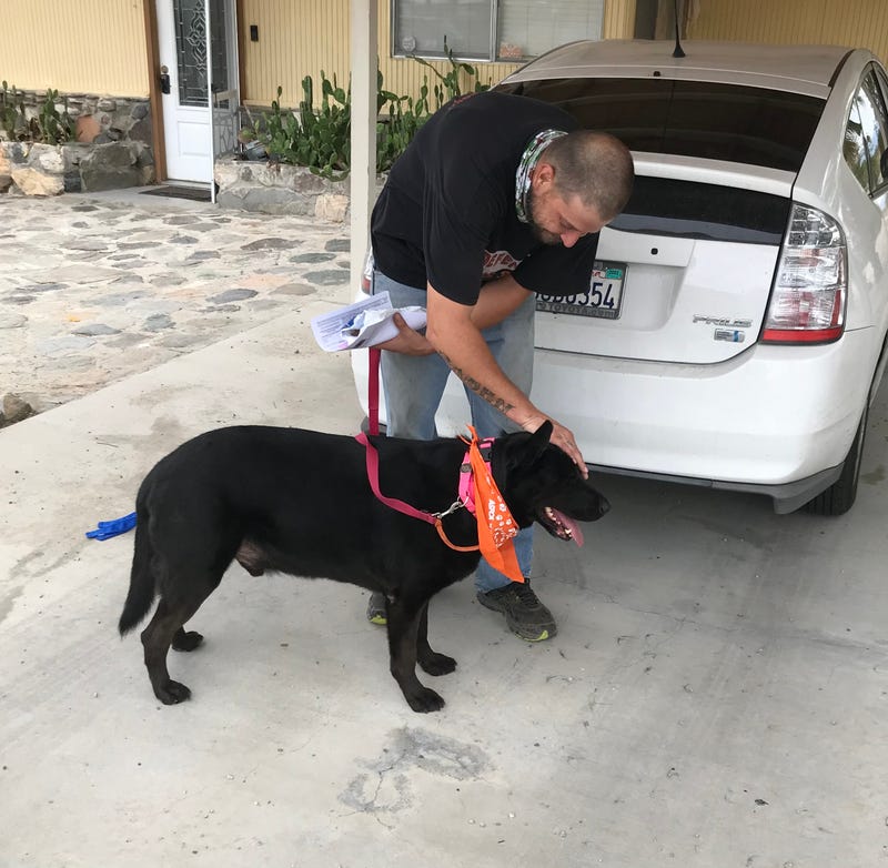 ASPCA