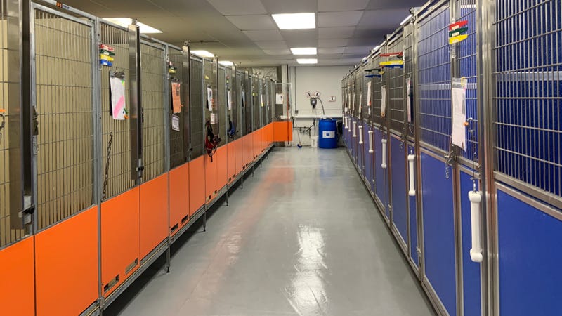 ACCT Philly kennels