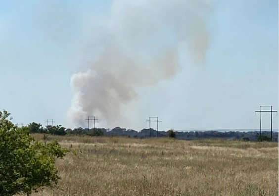 Texas A&M Forest Service