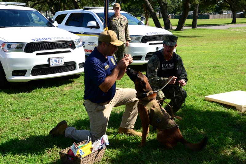 Navy Military Working Dog becomes Military Retired Dog