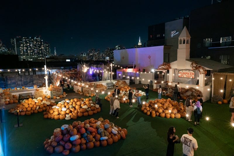 That's a lot of pumpkins! 