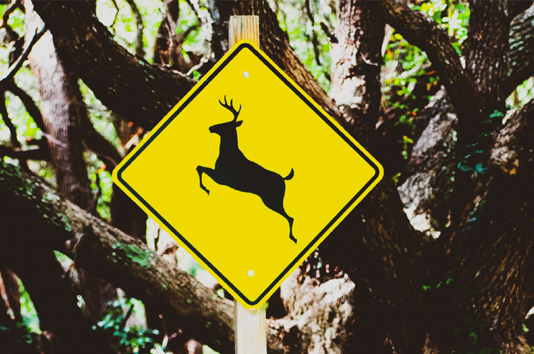 Deer Crossing Sign