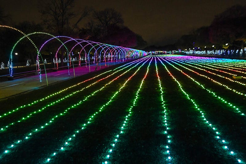The "Sea of Lights" at Brookfield Zoo's Holiday Magic® features more than two miles of sparkling lights that transform the West Mall into a creation of colorful waves.