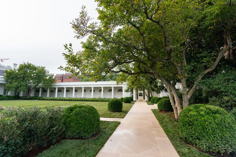 Rose Garden 