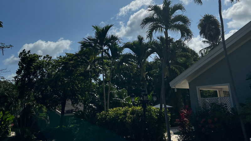 Day 2: Sandals Ochi in Ocho Rios, Jamaica Views