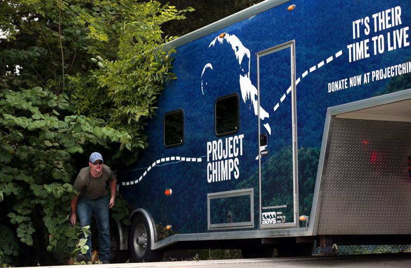 Project Chimps
