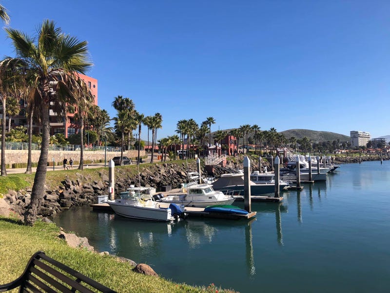 Another View of the Marina