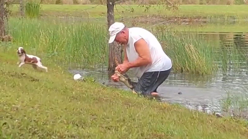 Osterlind: Man Saves Puppy From Alligator's Jaws 