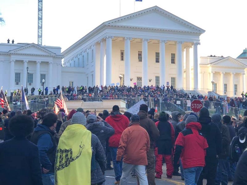 Crowd at State Capital for Gun Rights Rally on January 20, 2020. (Matt Demlein, WRVA)