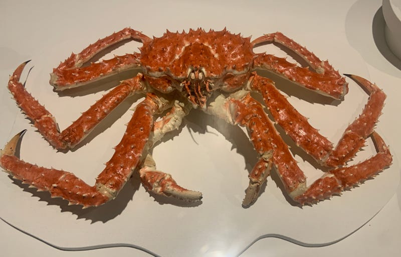 Crab