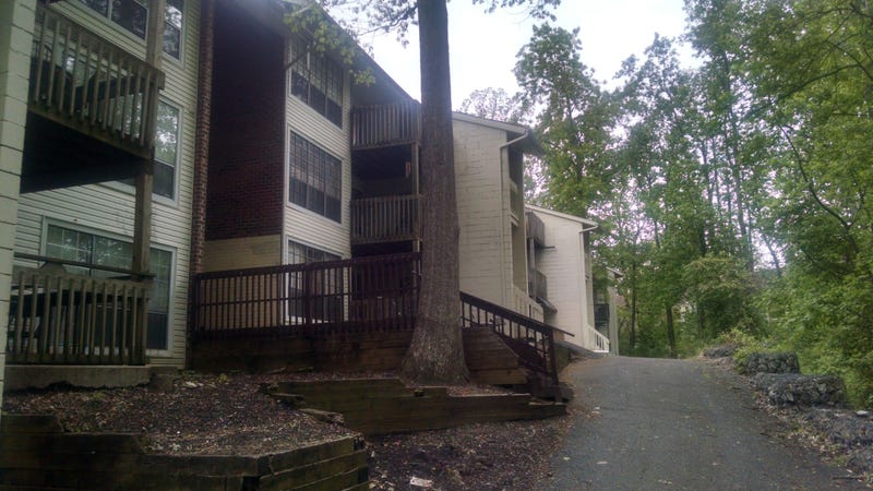 This alley behind Lakeview Apartments leads to the wooded are where Carol Reiff's body was found.